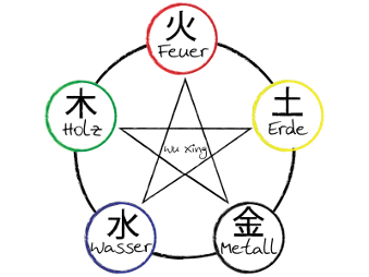 Die 5 Elemente in der Kinesiologie